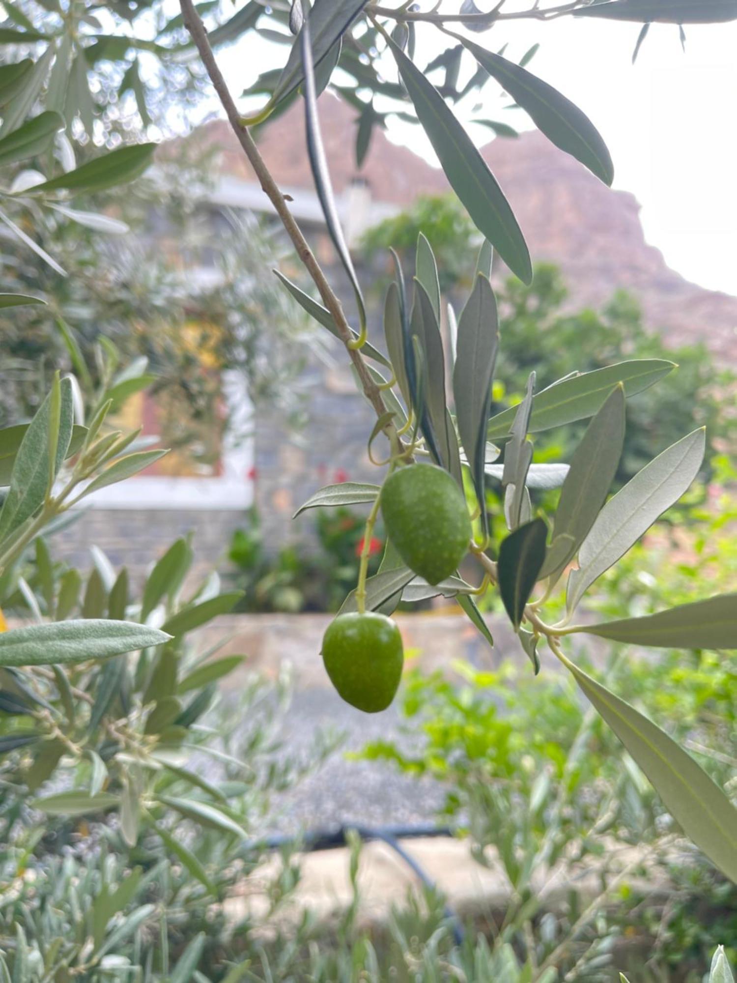 Jabal Shams Villa Saab Bani Khamis Exterior foto